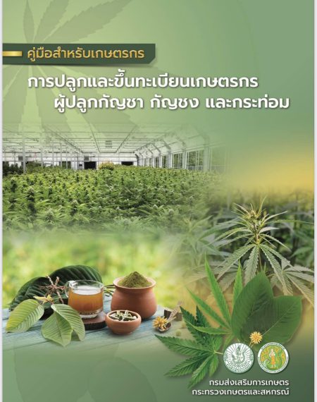 คู่มือปลูกกัญชา